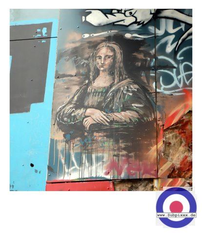 Serie - BERLIN23 - Teufelsberg - 1. Januar 2023 (54).JPG